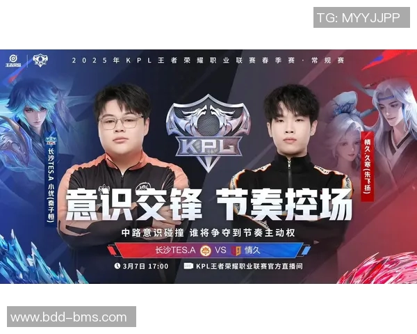 王者荣耀深度解析TES战队默契配合与战术策略的成功之道