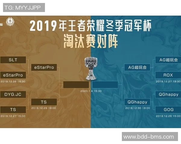 esports最新数据探寻王者荣耀FPX战队的节奏与策略背后的秘密与魅力